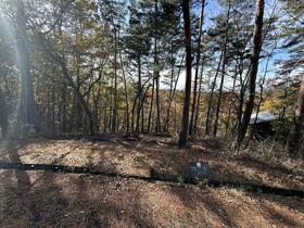 長野県小諸市大字大久保