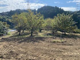 熊本県上益城郡御船町大字田代