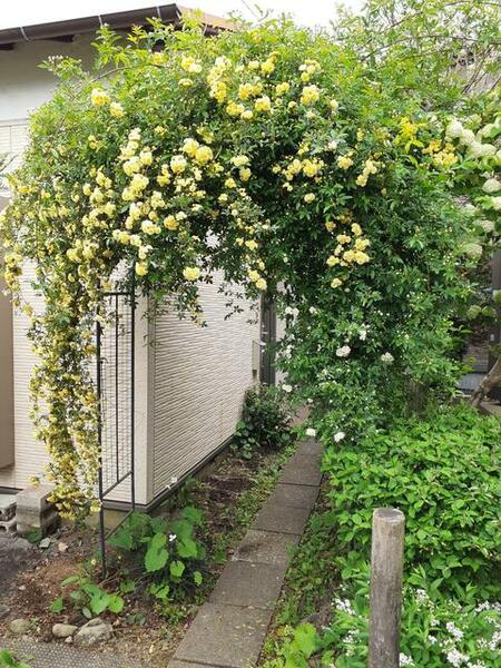 detached 東京都羽村市羽加美３丁目

地図を見る