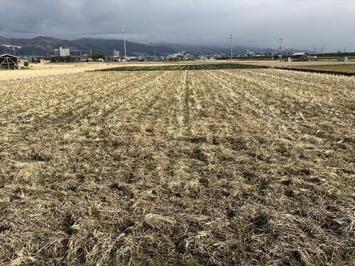 Land, 和歌山県 和歌山市