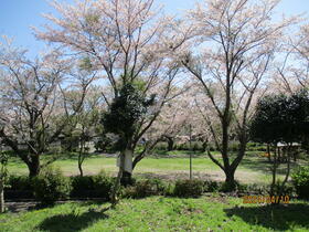 静岡県伊東市荻