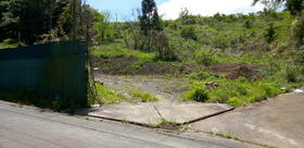 静岡県田方郡函南町平井