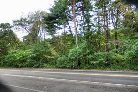 福島県安達郡大玉村大山字大皿久保