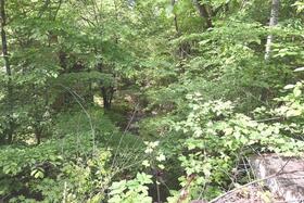 長野県北佐久郡軽井沢町大字発地