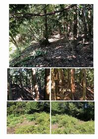 長崎県諫早市土師野尾町