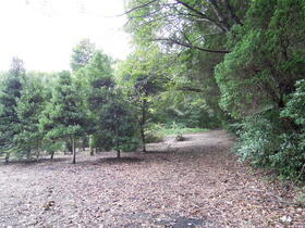 栃木県宇都宮市上籠谷町