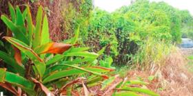 沖縄県沖縄市高原４丁目