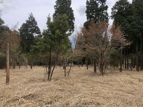 熊本県阿蘇市小倉
