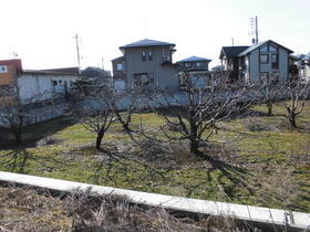 山形県東根市大字野田