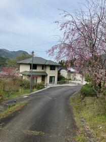 大分県中津市耶馬溪町大字戸原