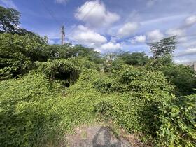 徳島県徳島市国府町芝原字東分