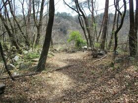 山梨県北杜市白州町鳥原