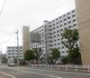 鳴尾・武庫川女子大前駅より徒歩10分 10階 築53年11ヶ月の賃貸物件
