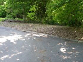 福島県郡山市田村町細田字山際