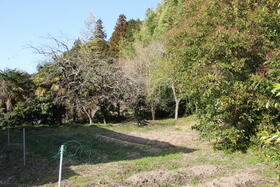 兵庫県丹波篠山市大沢新
