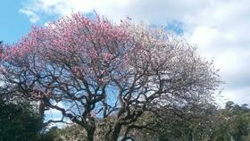 静岡県熱海市西山町