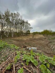 北海道札幌市東区中沼町