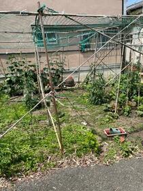 大阪府大阪市住吉区山之内５丁目