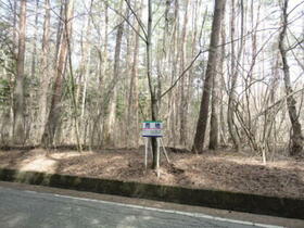 山梨県南都留郡富士河口湖町小立