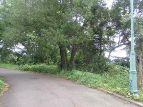 大分県別府市大字鶴見