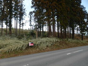 福島県南相馬市原町区上太田字陣ケ崎