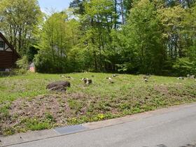 山梨県北杜市小淵沢町上笹尾