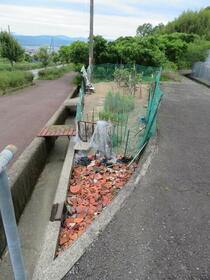 和歌山県紀の川市西三谷