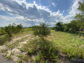 宮城県亘理郡亘理町荒浜字鳥の海