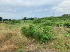 群馬県前橋市鼻毛石町