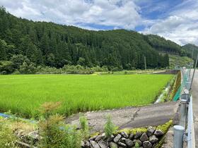 岐阜県郡上市八幡町初音