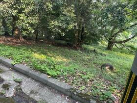 大分県速見郡日出町大字藤原