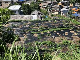 長崎県長崎市大鳥町