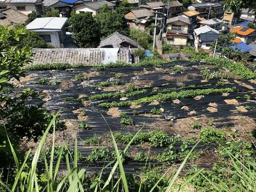 Land, 長崎県 長崎市