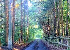長野県北佐久郡御代田町大字塩野