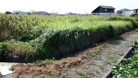 香川県丸亀市垂水町