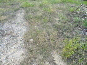 三重県桑名郡木曽岬町大字加路戸