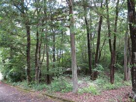 岐阜県中津川市蛭川