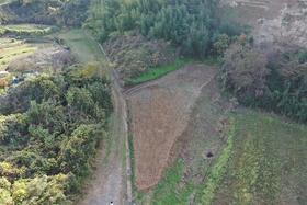神奈川県平塚市土屋