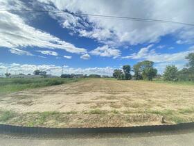 埼玉県越谷市大字向畑