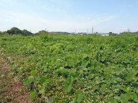 福岡県八女郡広川町大字新代