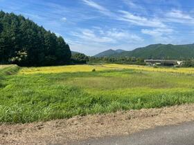 兵庫県丹波篠山市真南条下