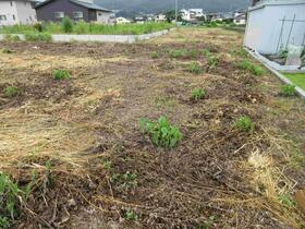 長野県上伊那郡辰野町大字平出
