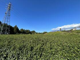 静岡県富士宮市杉田