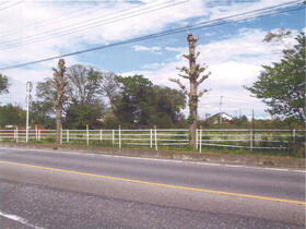 群馬県館林市成島町