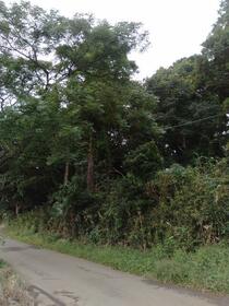 千葉県千葉市緑区大高町