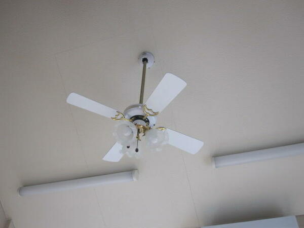 画像14:天井が高いのでシーリングファンが設備されています