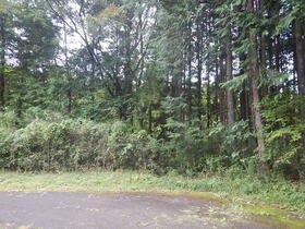 栃木県日光市根室