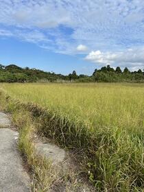 鹿児島県熊毛郡中種子町野間
