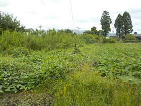 宮崎県東諸県郡国富町大字八代北俣