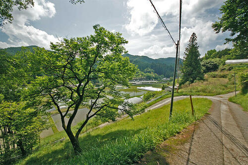 Land, Uda, Nara